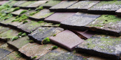 Wendover roof repair costs